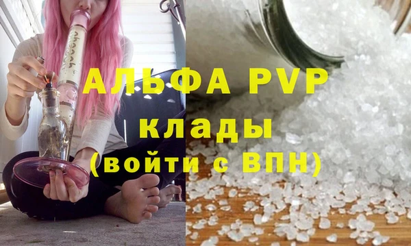 гидра Медвежьегорск