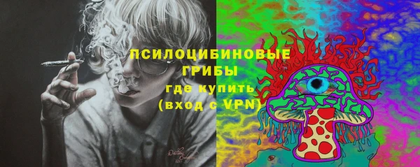 гидра Медвежьегорск