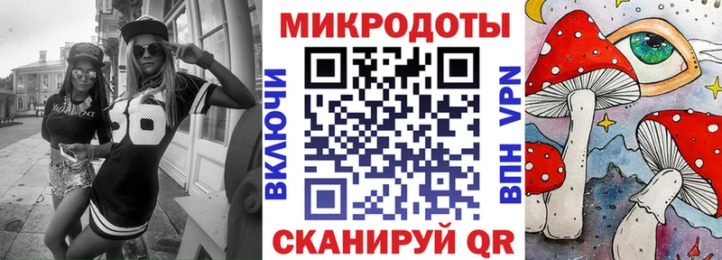 KRAKEN как войти  Чаплыгин  Галлюциногенные грибы Magic Shrooms 
